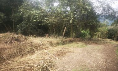 Lote - Vereda Tolu - La Esperanza - La Mesa Cundinamarca