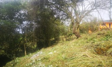 Lote - Vereda Tolu - La Esperanza - La Mesa Cundinamarca