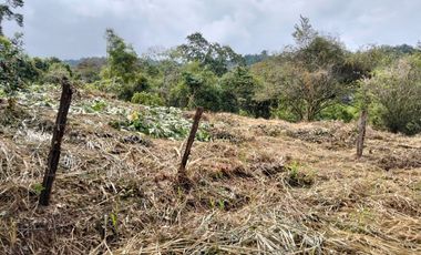 Lote - Vereda Tolu - La Esperanza - La Mesa Cundinamarca