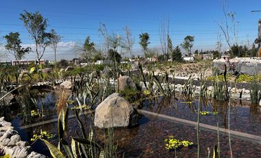 DEPARTAMENTO EN RENTA EN SANTUARIO BOSQUES, BELLO HORIZONTE, PUEBLA.