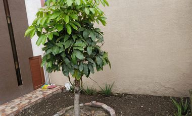 Por estrenar casa amplia de 3 plantas en Martínez - Ambato