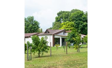 VENTA CASAS PROYECTO EN CORONADO NATURALEZA Y PLAYA TERRA VIVA