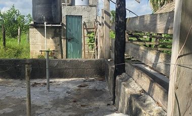 ¡Excelente Rancho en venta! Tizimin, Yucatán.