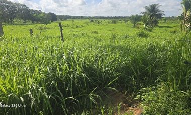 ¡Excelente Rancho en venta! Tizimin, Yucatán.