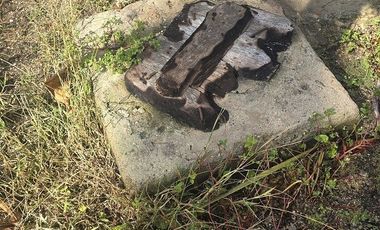 ¡Excelente Rancho en venta! Tizimin, Yucatán.