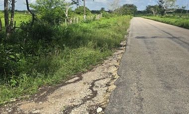 ¡Excelente Rancho en venta! Tizimin, Yucatán.