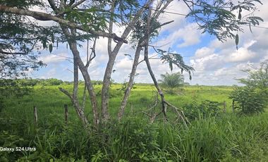 ¡Excelente Rancho en venta! Tizimin, Yucatán.