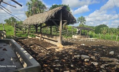 ¡Excelente Rancho en venta! Tizimin, Yucatán.