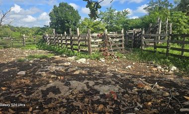 ¡Excelente Rancho en venta! Tizimin, Yucatán.