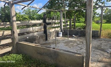 ¡Excelente Rancho en venta! Tizimin, Yucatán.