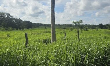 ¡Excelente Rancho en venta! Tizimin, Yucatán.