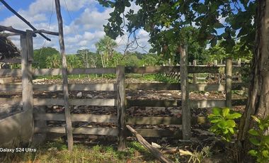 ¡Excelente Rancho en venta! Tizimin, Yucatán.