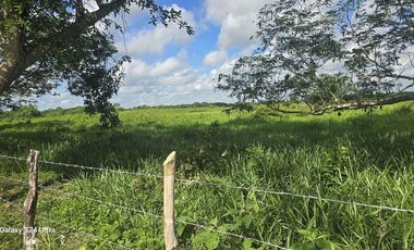 ¡Excelente Rancho en venta! Tizimin, Yucatán.