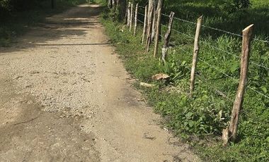 ¡Excelente Rancho en venta! Tizimin, Yucatán.