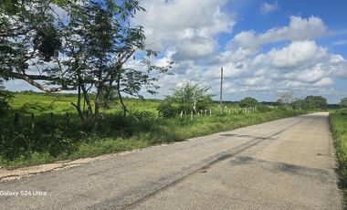 ¡Excelente Rancho en venta! Tizimin, Yucatán.