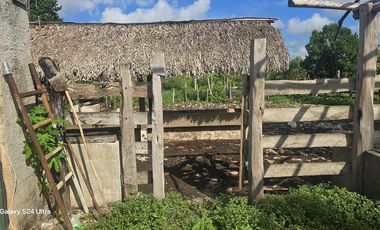 ¡Excelente Rancho en venta! Tizimin, Yucatán.