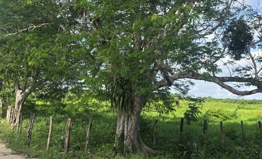 ¡Excelente Rancho en venta! Tizimin, Yucatán.