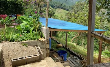 Finca en Venta en Fredonia, sector Vereda la Quiebra