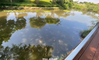 VENDO CASA CAMPETRE EN MALABAR  A 15 MINUTOS DE PEREIRA