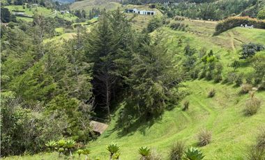 Casa moderna en unidad cerrada en El Retiro [cm]