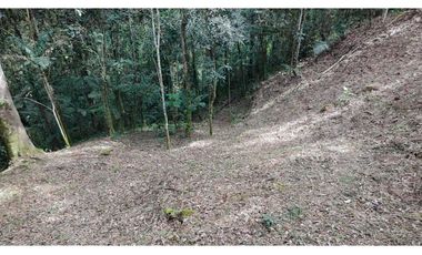 Venta de Hermoso Lote Rodeado de Bosques Natural en Unidad Cerrada