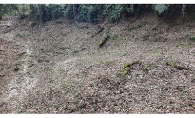 Venta de Hermoso Lote Rodeado de Bosques Natural en Unidad Cerrada
