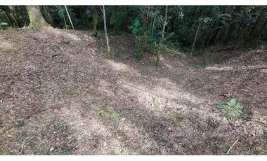 Venta de Hermoso Lote Rodeado de Bosques Natural en Unidad Cerrada