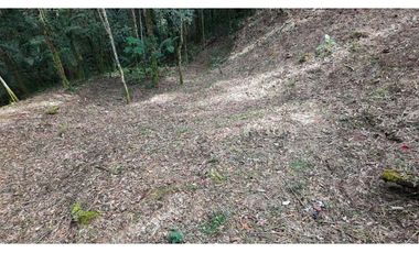 Venta de Hermoso Lote Rodeado de Bosques Natural en Unidad Cerrada