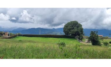 LOTE SUBURBANO EN CONDOMINIO - SALENTO QUINDO