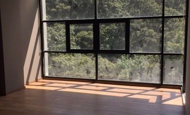 DEPARTAMENTO (PH), Av. de la Palma, 