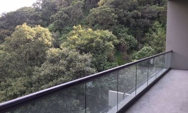DEPARTAMENTO (PH), Av. de la Palma, 