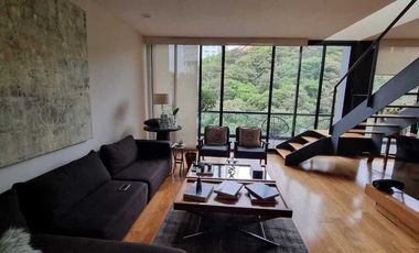 DEPARTAMENTO (PH), Av. de la Palma, 