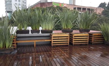 DEPARTAMENTO (PH), Av. de la Palma, 