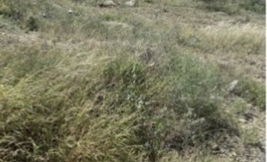 Terreno en Venta en Terralta