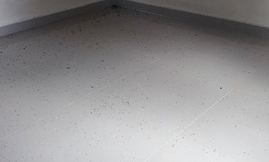 Villa luas di Kaliurang km 20