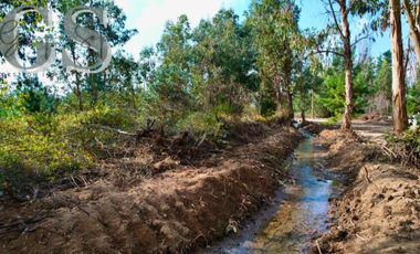 IMPERDIBLE VENTA DE PARCELAS, BOSQUES DE MESAMÁVIDA, LONGAVÍ