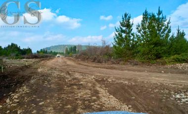 IMPERDIBLE VENTA DE PARCELAS, BOSQUES DE MESAMÁVIDA, LONGAVÍ