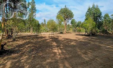 IMPERDIBLE VENTA DE PARCELAS, BOSQUES DE MESAMÁVIDA, LONGAVÍ