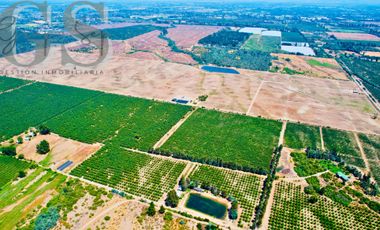 IMPERDIBLE VENTA DE PARCELAS, BOSQUES DE MESAMÁVIDA, LONGAVÍ