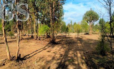 IMPERDIBLE VENTA DE PARCELAS, BOSQUES DE MESAMÁVIDA, LONGAVÍ