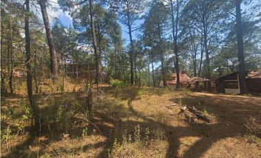 Terreno céntrico en el bosque de mazamitla