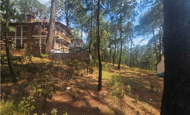 Terreno céntrico en el bosque de mazamitla
