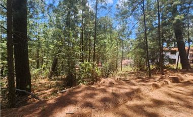 Terreno céntrico en el bosque de mazamitla