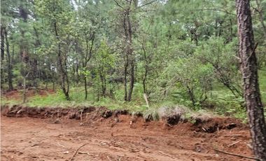 Terreno céntrico en el bosque de mazamitla