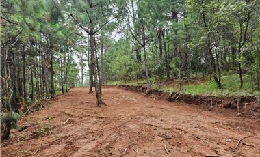 Terreno céntrico en el bosque de mazamitla