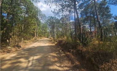Terreno céntrico en el bosque de mazamitla