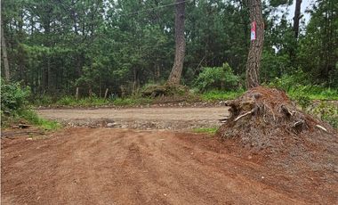 Terreno céntrico en el bosque de mazamitla