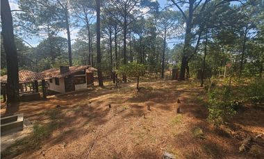 Terreno céntrico en el bosque de mazamitla