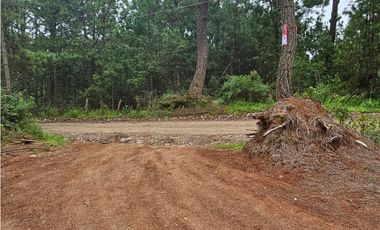 Terreno céntrico en el bosque de mazamitla