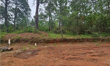 Terreno céntrico en el bosque de mazamitla